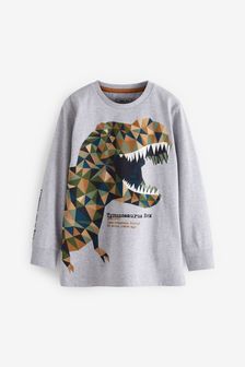 Grey/Khaki Green Dinosaur Long Sleeve T-Shirt (3-16yrs) (T18736) | 11 € - 17 €