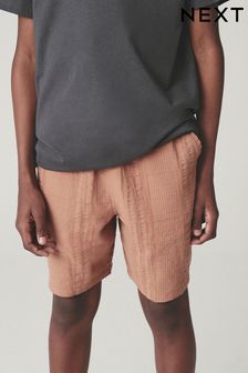 Rust Brown Textured Stripe Shorts (3-16yrs) (T83017) | AED48 - AED73