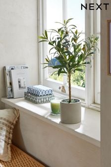 Green Small Artificial Olive Tree In Concrete Pot (T90160) | 43 €