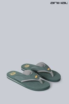 Grün - Animal Mens Jekyl Recycled Flip-flops (T97470) | 34 €