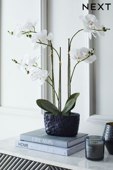 Artificial Real Touch Orchid In Hex Embossed Pot (U19585) | kr394