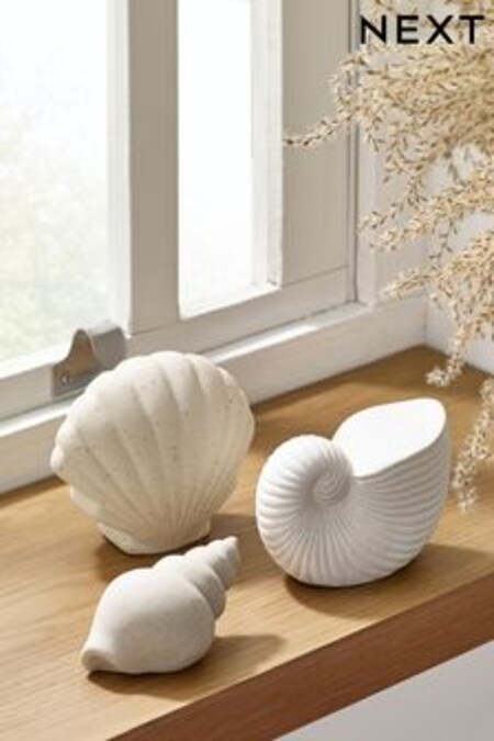 Set of 3 Natural Shell Ornaments (U26250) | OMR7