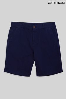 Animal Mens Navy Blue Westbay Organic Chino Shorts (U51252) | ₪ 186