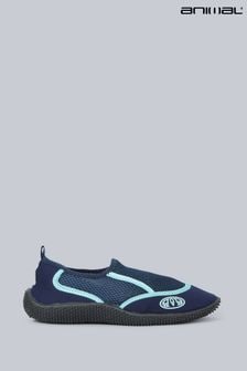 כחול  - Animal Womens Cove Aqua Shoes (U52666) | ‏101 ‏₪