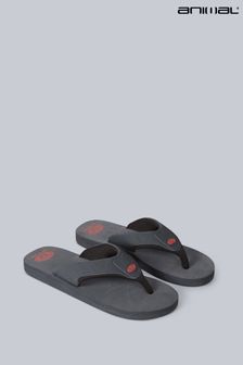 Animal Mens Grey Jekyl Recycled Flip Flops