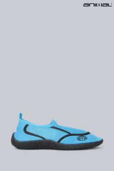 Animal Mens Blue Cove Aqua Shoes (U52687) | SGD 41