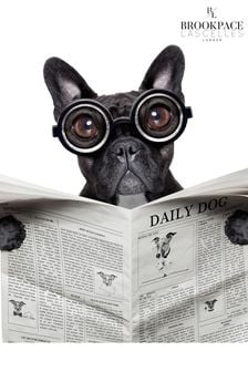 Brookpace Lascelles "bulldog News" Fotografic Imprimeuri în cadru de sticlă (U61927) | 645 LEI