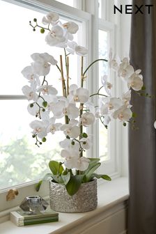 White Large Artificial Real Touch Orchid Plant In Silver Pot (U64035) | €100