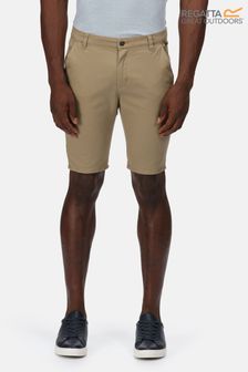 Regatta Brown Sandros Shorts (U65869) | €20