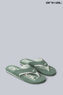 Men's Flip Flop Green | Next Ireland