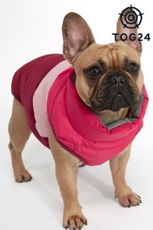 معطف كلب بدرجة مقاومة للحرارة 24 (U72883) | 155 د.إ