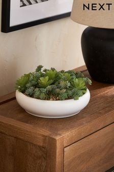 Green Artificial Mixed Succulent Bowl
