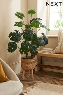 Green Artificial Cheese Plant in Rattan Planter With Legs (U85011) | €129