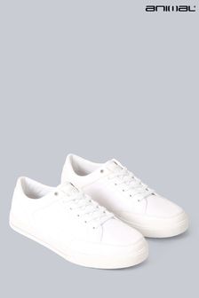 Animal Womens Tenby Recycled White Trainers (U99708) | €61