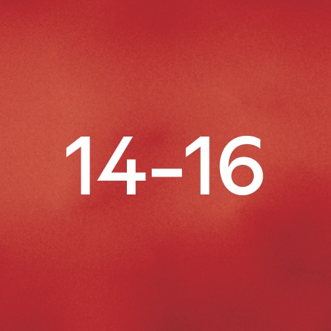 مقاس <bdo dir="ltr">14-16</bdo>