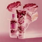 Bath & Body Works