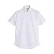Short Sleeve