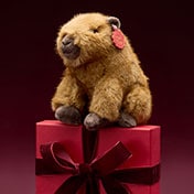 Gifts For Children