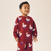 Trending: Animals 