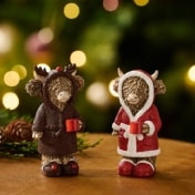 Christmas Hamish