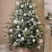 Christmas Trees