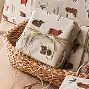 Cards & Wrap