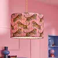 Lighting 