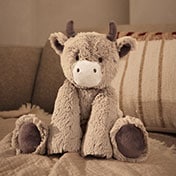 Hamish