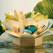 Bath & Body Gift Sets