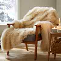 Cosy Shop