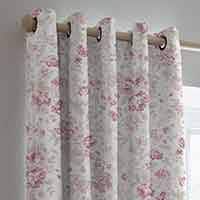 Curtains & Blinds 