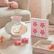 Wax Melts