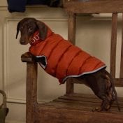 Coats & Jumpers