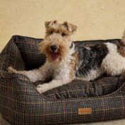 Pet Beds