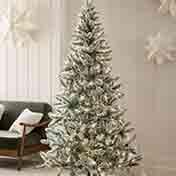 Christmas Trees
