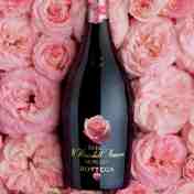 Wine, Spirits & Beer