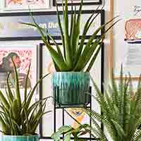 Home Accessories