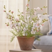 Summer Decor