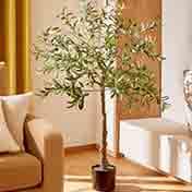 Artifical Plants