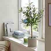 Artifical Plants