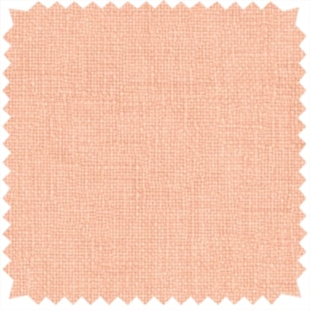 Soft Apricot Orange