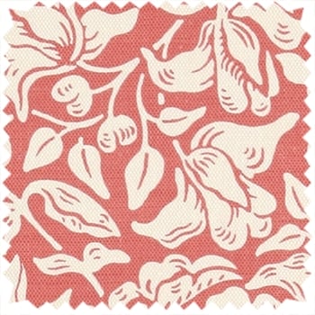 Madder Coral Orange