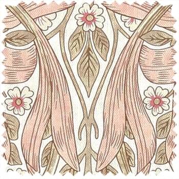 Cochineal Pink