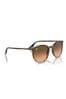 Vogue Eyewear Mod Cut cat-eye frame sunglasses