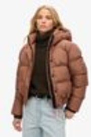 Мускатный орех, специи, коричневый - Superdry Спортивная куртка-бомбер с капюшоном и пуховиком - Image 1 of 1