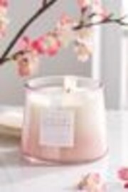 Pink Apricot Blossom Large Candle - Image 1 of 1