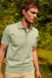 Sage Green Regular Fit Knitted Polo Shirt - Image 1 of 1