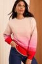 Love & Roses Red/Pink Ombre Stripe Sequin Knitted High Neck Jumper - Image 1 of 1
