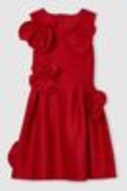 Reiss Red Polliana 9-13 yrs Scuba 3D-Flowers Flared Dress - Image 1 of 1