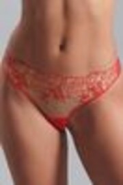 Bluebella Rosalie Rose Embroidered Mesh Knickers - Image 1 of 1